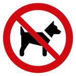 P021	Mitführen von Hunden verboten